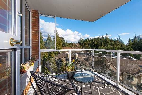House sit in Vancouver, BC, Canada
