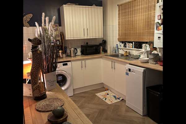 House sit in Canterbury, United Kingdom