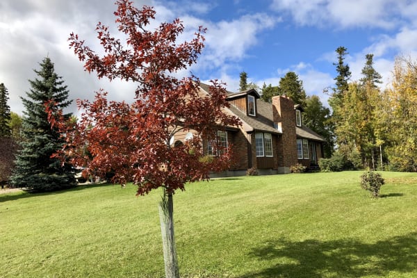 House sit in Whitecourt, AB, Canada