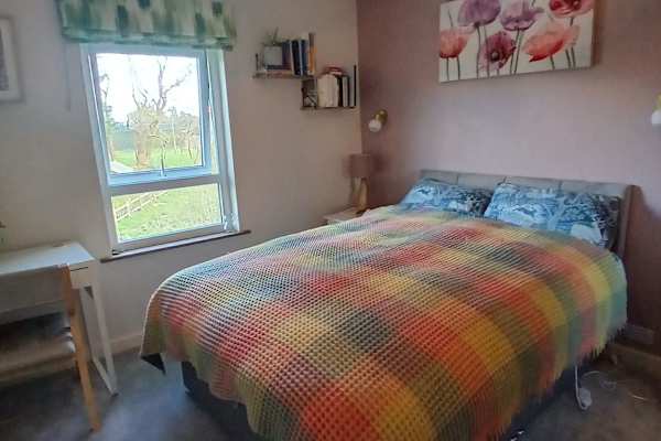 House sit in Ballineen, Ireland