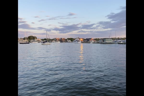 House sit in Annapolis, MD, US