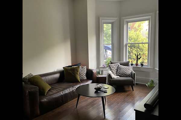 House sit in Toronto, ON, Canada