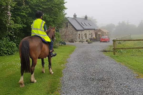 House sit in Kidwelly, United Kingdom
