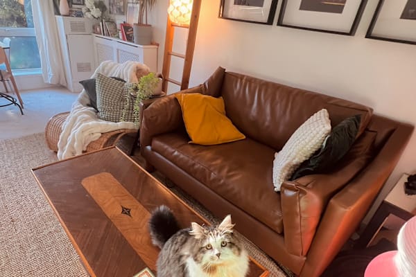 House sit in Hackney, United Kingdom