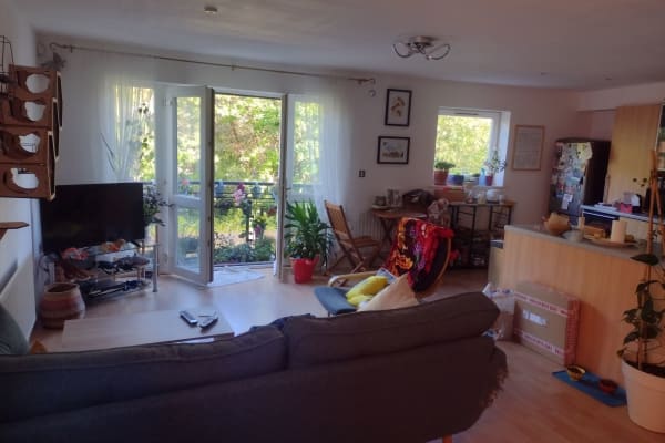 House sit in Nottingham, United Kingdom