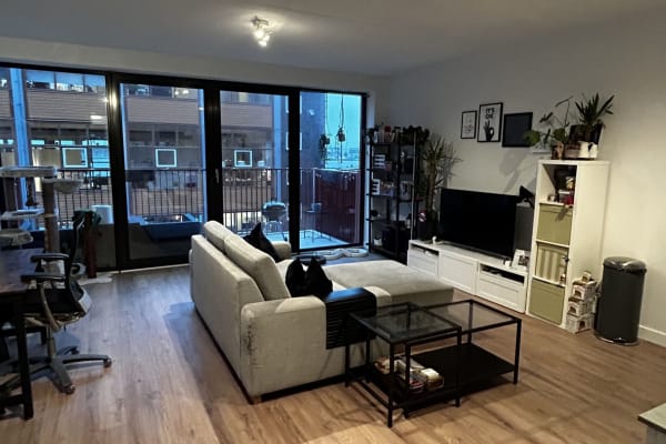 House sit in Amsterdam, Netherlands