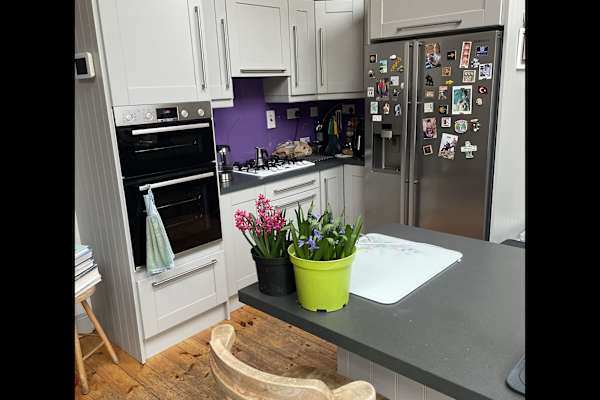 House sit in Dublin, Ireland