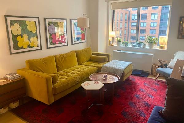House sit in Manhattan, NY, US