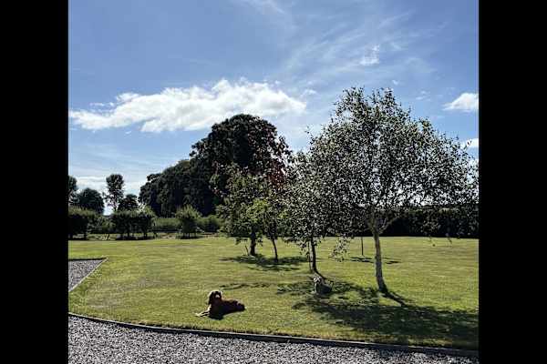 House sit in Forres, United Kingdom
