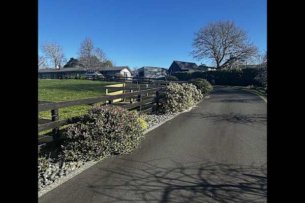 House sit in Hamilton, New Zealand