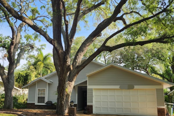 House sit in Bradenton, FL, US