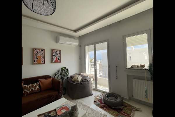 House sit in Al Marsá, Tunisia