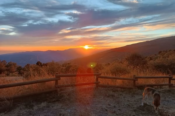 House sit in Soportújar, Spain