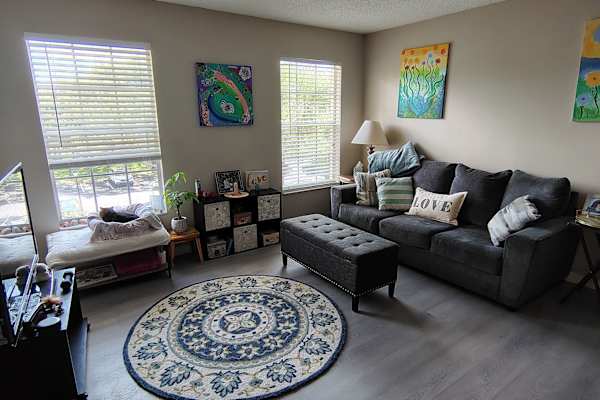 House sit in Palm Harbor, FL, US