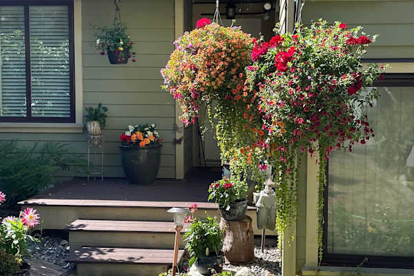 House sit in Burnaby, BC, Canada