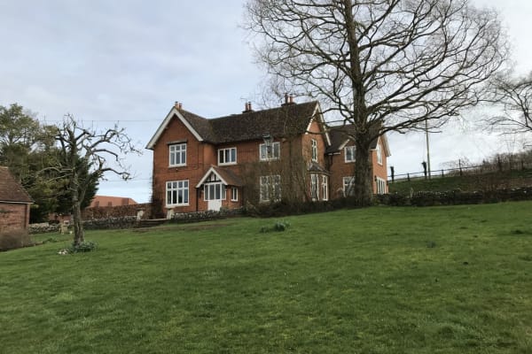 House sit in Winterbourne, United Kingdom