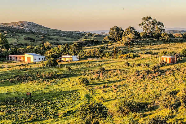 House sit in Minas, Uruguay