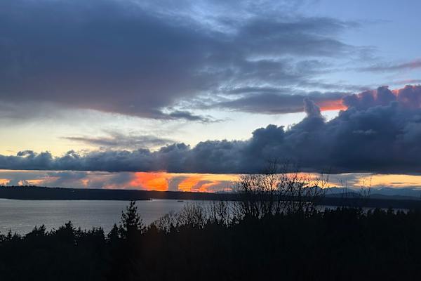 House sit in West Seattle, WA, US