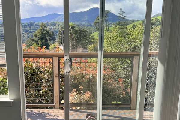 House sit in Mill Valley, CA, US