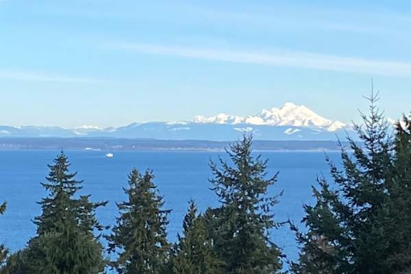 House sit in Port Townsend, WA, US