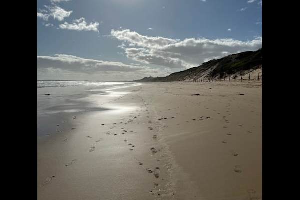 House sit in Barwon Heads, VIC, Australia