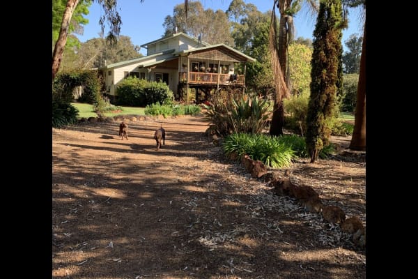 House sit in Collie, WA, Australia