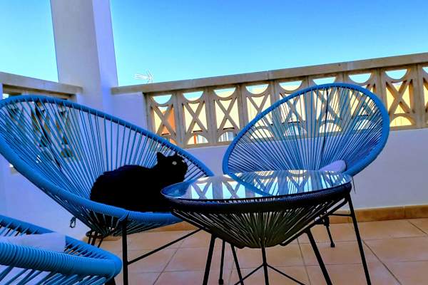 House sit in Caleta de Fuste, Spain
