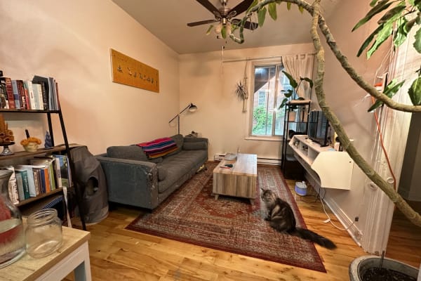 House sit in Montréal, QC, Canada