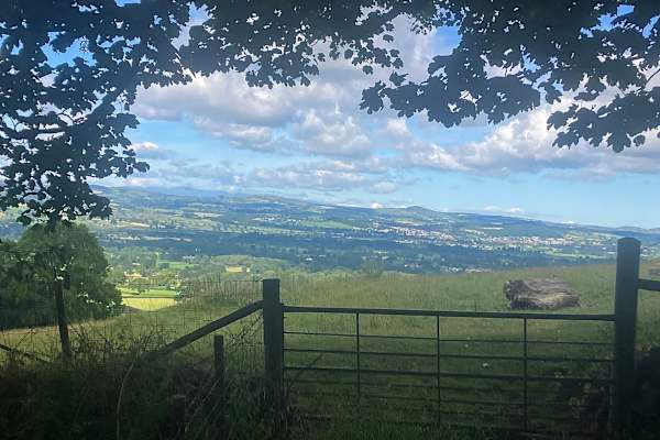 House sit in Denbigh, United Kingdom