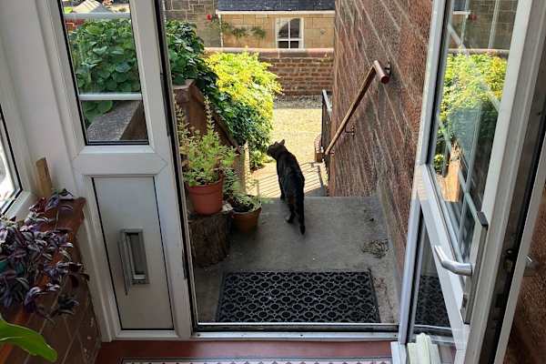 House sit in Glasgow, United Kingdom