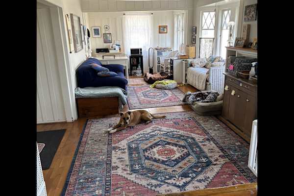 House sit in Pacific Grove, CA, US
