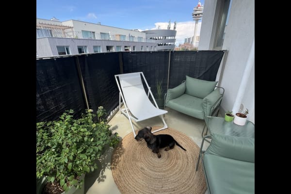 House sit in Vienna, Austria