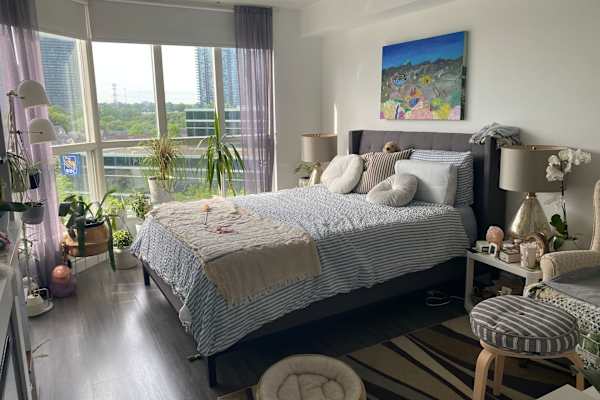 House sit in Toronto, ON, Canada