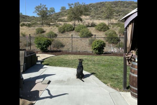 House sit in Menifee, CA, US