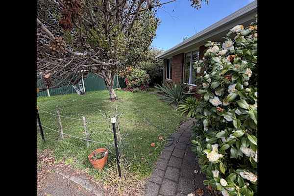 House sit in Launceston, TAS, Australia