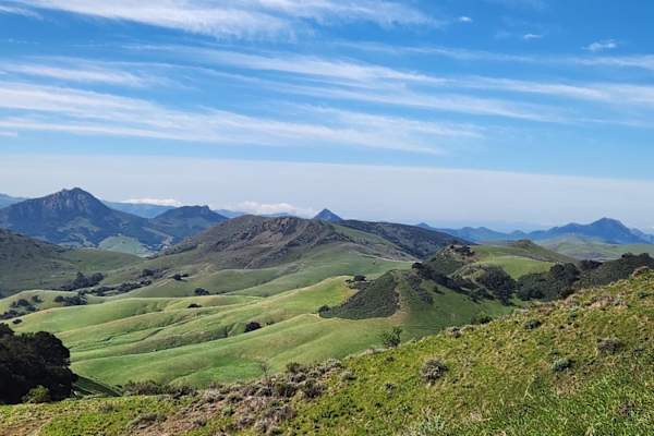 House sit in San Luis Obispo, CA, US