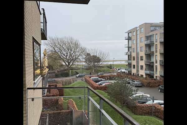 House sit in Copenhagen, Denmark