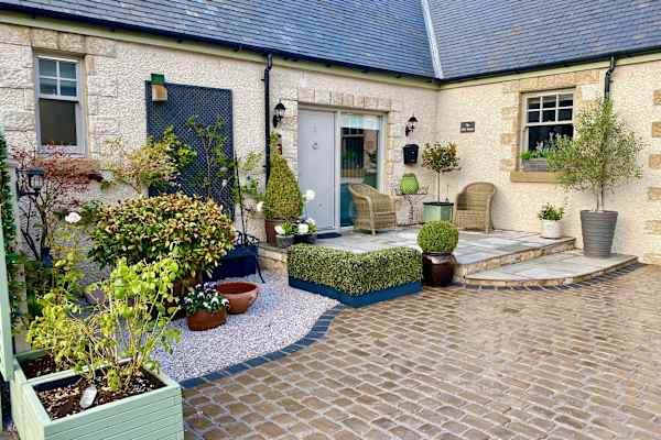 House sit in Perth, United Kingdom