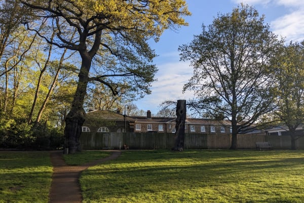 House sit in Hampstead, United Kingdom