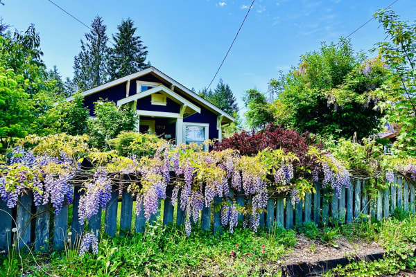 House sit in Olympia, WA, US