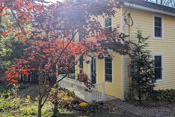 House sit in Norfolk, CT, US