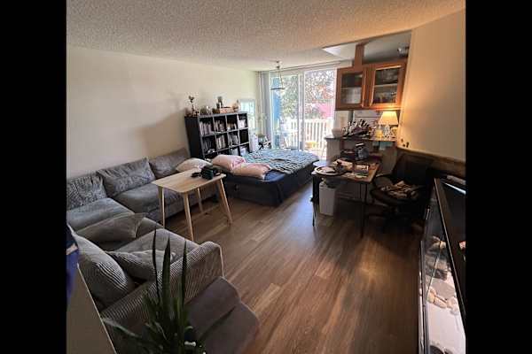 House sit in Culver City, CA, US