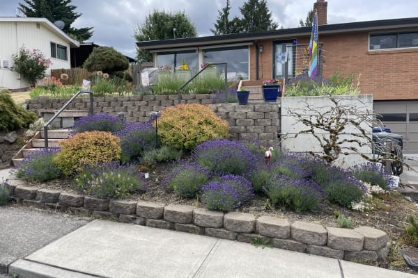 House sit in Renton, WA, US