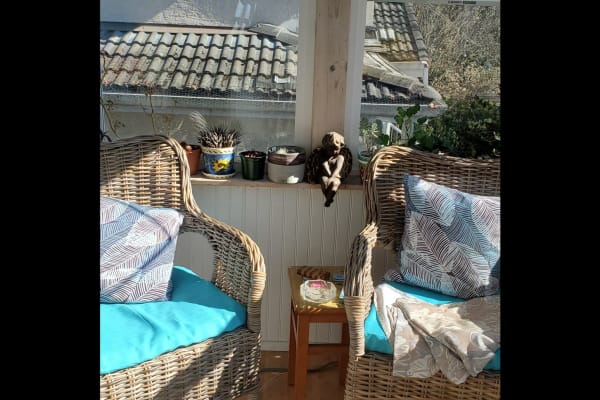 House sit in Vancouver, BC, Canada