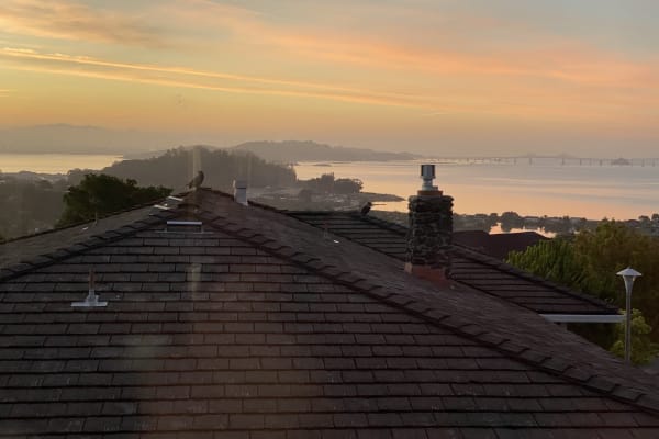 House sit in San Rafael, CA, US