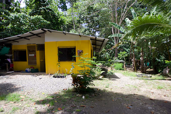 House sit in Cahuita, Costa Rica