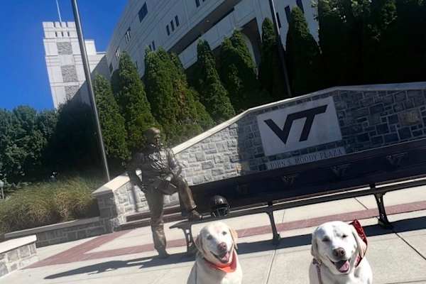 House sit in Blacksburg, VA, US