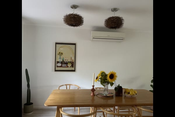 House sit in Sunshine Coast, QLD, Australia