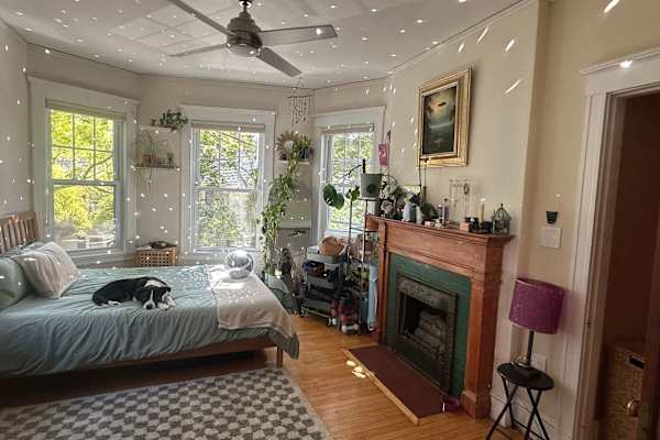 House sit in Cambridge, MA, US