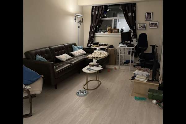 House sit in Toronto, ON, Canada